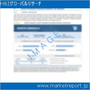 市場と産業調査レポートのイメージ
